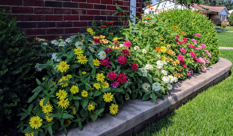 A clean, modern garden bed edged with stone and metal edging, surrounded by lush greenery and mulch